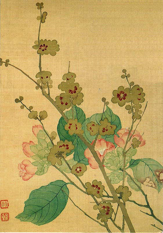 Album of Flowers